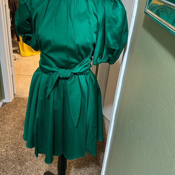 Alice + Olivia Dresses & Skirts - Green Alice and Olivia